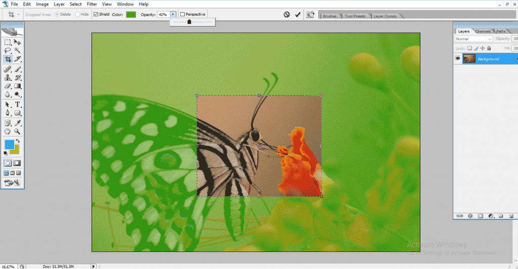 Crop Tool in Learn to Use Crop Tool in