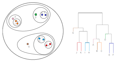 types of clustering 2