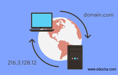  Domain Name Service