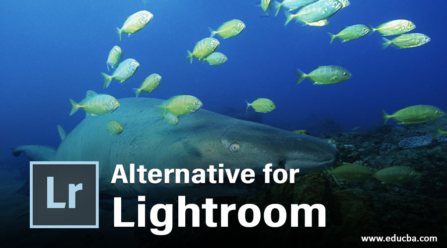 Alternative for Lightroom