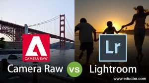 lightroom vs camera raw