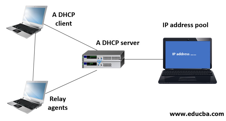 Dynamic Host Configuration Protocol | Working & Benefits of DHCP Server