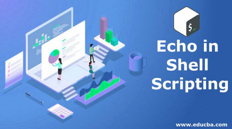 Echo In Shell Script Example