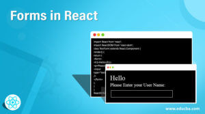 Forms in React | Learn Two Major Types of Forms in React