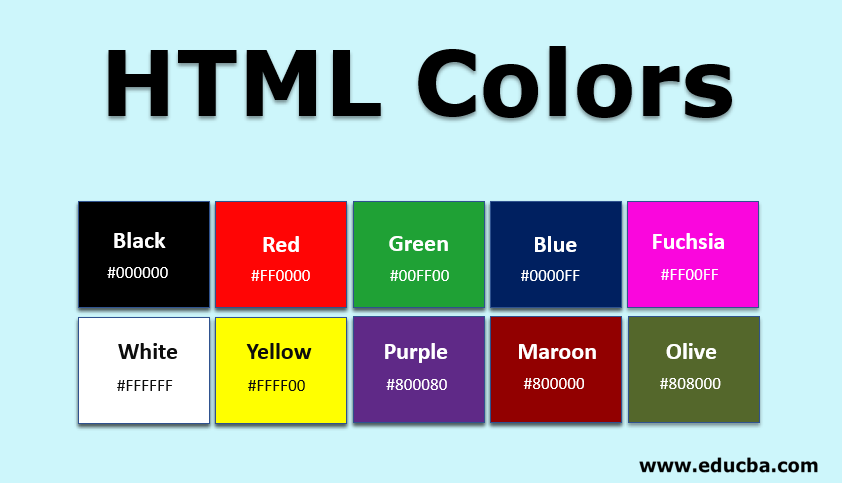 Suri Picket Fahrenheit HTML Colors | Learn How to Use Colors in Website Using HTML Colors