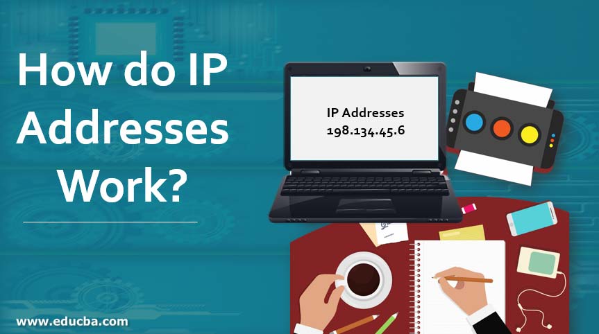 How do IP Addresses Work