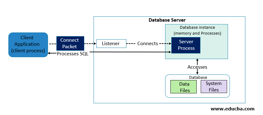 Database Server