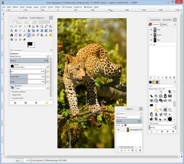 Inkscape vs GIMP 1-3