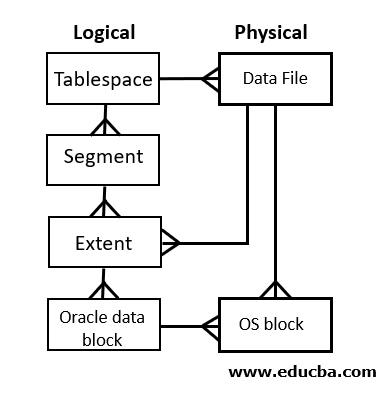 Logical Structure