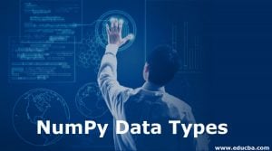 numpy data file format