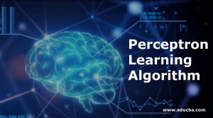 Perceptron Learning Algorithm | Guide to Perceptron Learning Algorithm