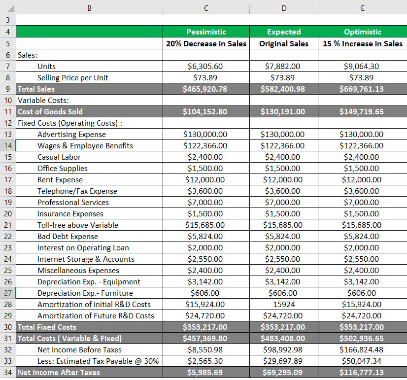 sensitivity analysis business plan example