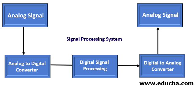 Signal Processing