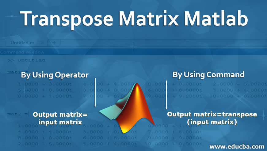 Transpose Matrix Matlab