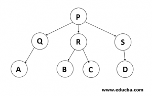 Types of Trees in Data Structure | Know 6 Types of Trees in Data Structure