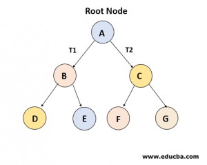 Types of Trees in Data Structure | Know 6 Types of Trees in Data Structure