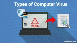 What is Computer Virus - Different Types of Computer Virus