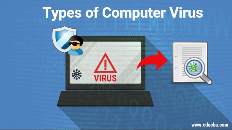 Types of Computer Virus | Types of Computer Viruses | technology-updates-24x7.blogspot.com