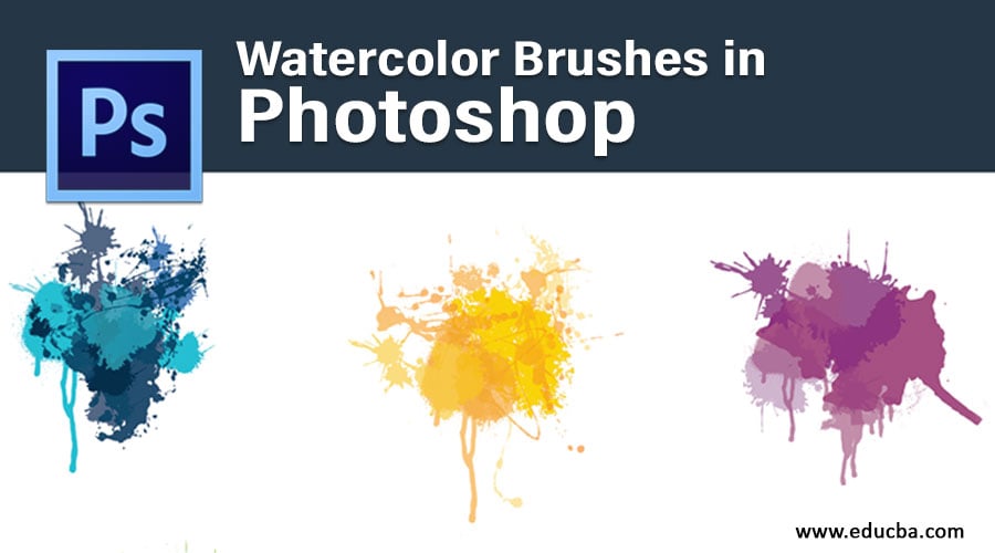  Watercolor  Brushes  in Photoshop  Applying Realistic 