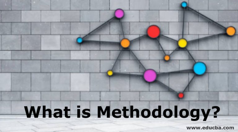 define methodology in it