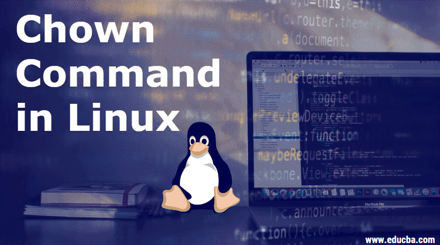 chown command in linux