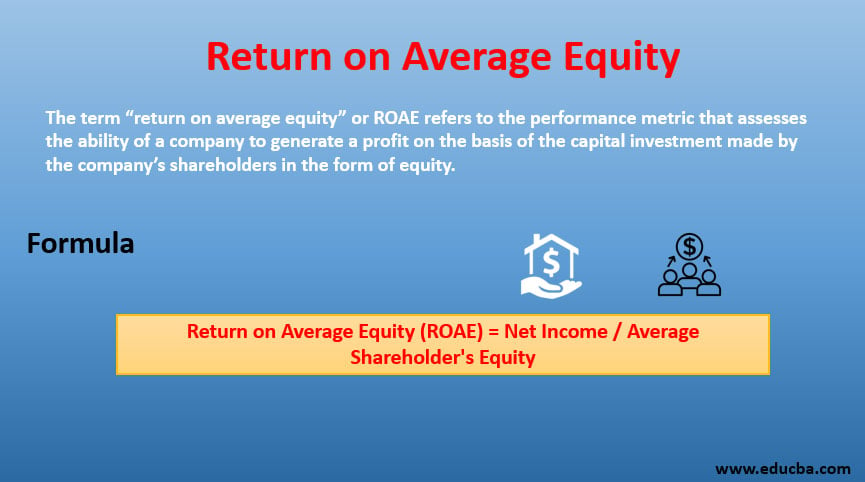 return-on-average-equity-examples-with-advantages-and-limitations