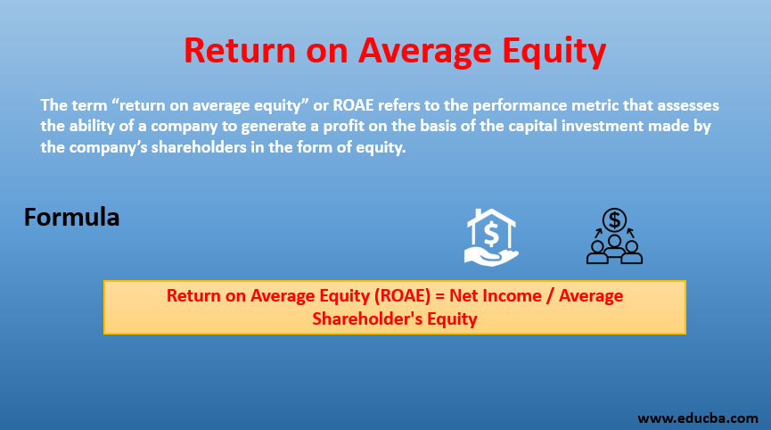 Return On Average Equity Examples With Advantages And Limitations