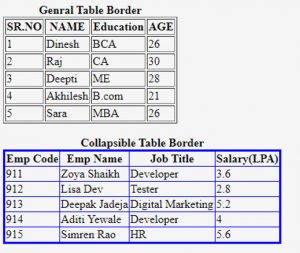 html table border style
