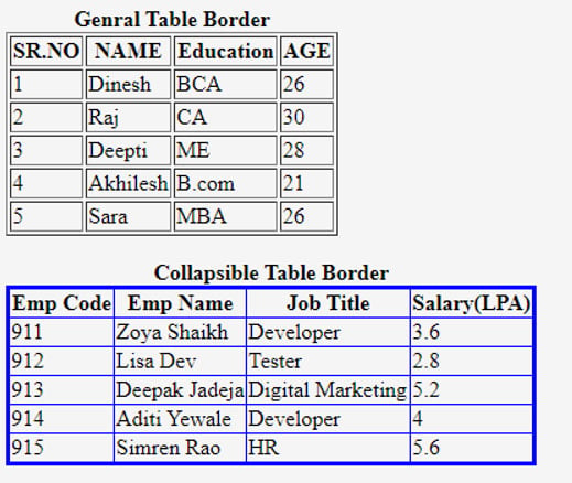 table in html border