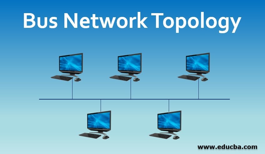 Bus Network Topology | Top Components, Advantages & Disadvantages