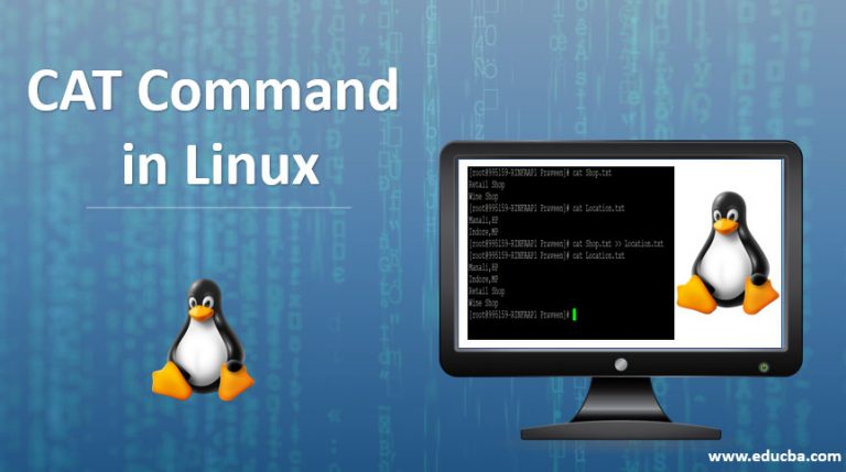 CAT Command In Linux Various Examples Of CAT Command In Linux