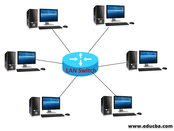Working of LAN switch