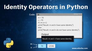 Identity Operators in Python | Two Types of Identity Operators in Python