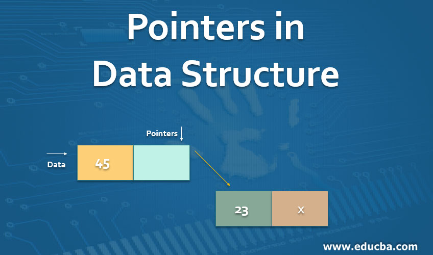 pointer size in c