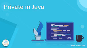 Private in Java | Comprehensive Guide to Private in Java
