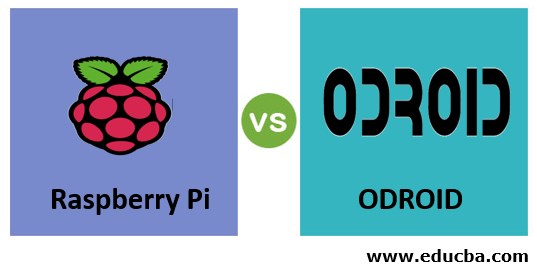 Raspberry Pi vs ODROID