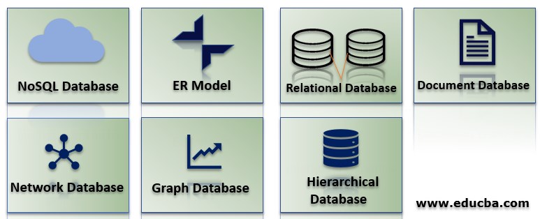 what is dbms and explain its types