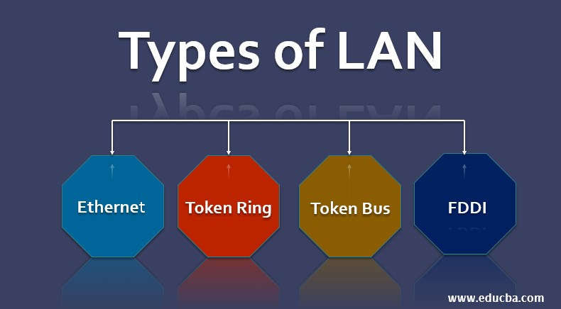 Types of LAN
