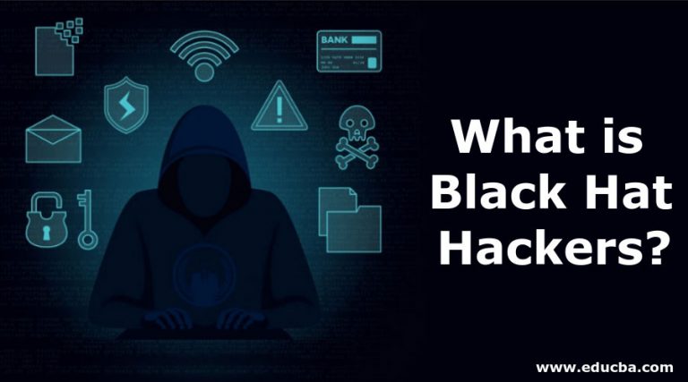 What is Black Hat Hackers? | What Does Blcak Hat Hackers do?