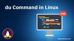 du Command in Linux | A Quick Glance of du Command in Linux