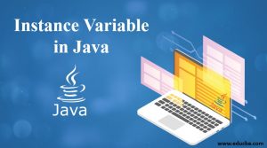 Instance Variable in Java | Characteristics of Instance Variable in Java