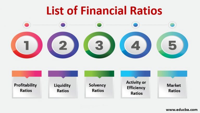financial ratios in business plan