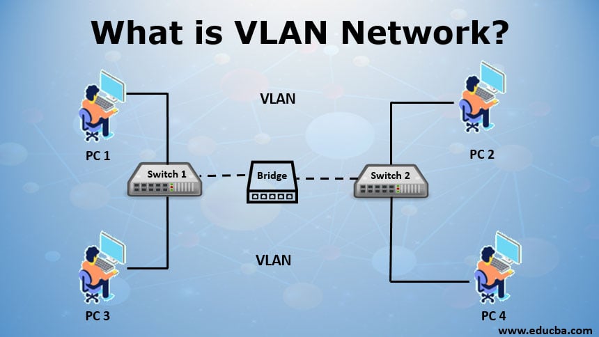 What is VLAN Network? | 5 Different Types of VLAN Network