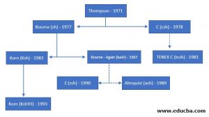 What is Bash? | A Complete Guide to What is Bash?