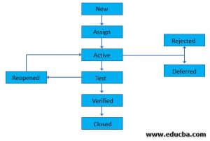 Bug Life Cycle | Learn the Different stages of Bug life cycle