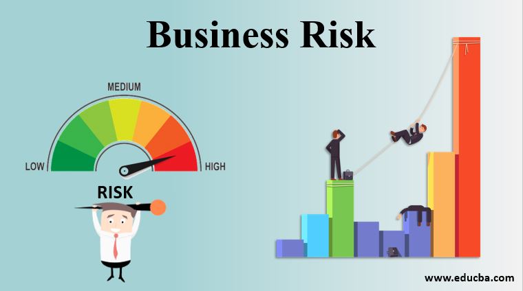 Business risk
