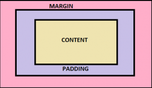 CSS Box Model | Examples to see How the Box-Model works?