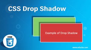 CSS Drop Shadow | How Drop Shadow Property Works in CSS?