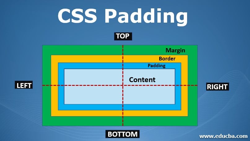 html css text padding