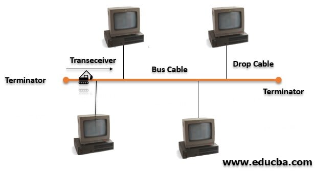 bus topology cable